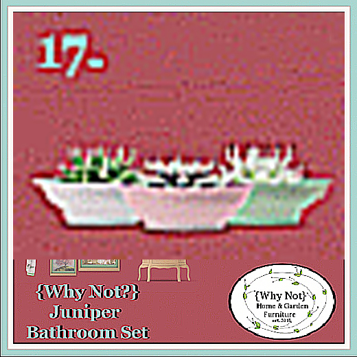 17 {Why Not?} Juniper Bathroom