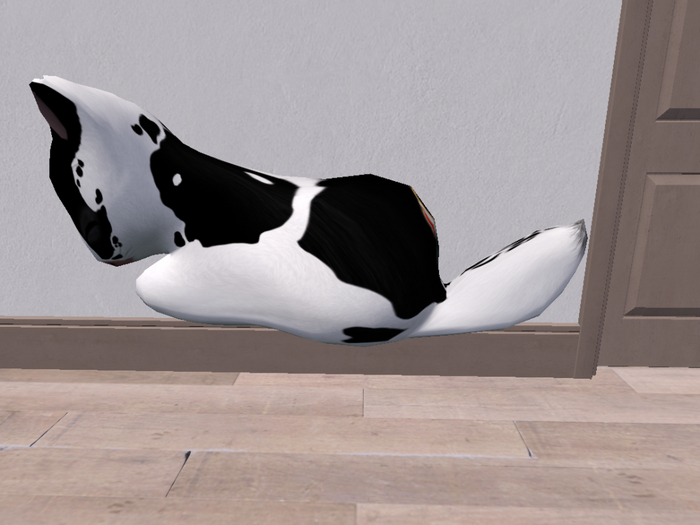 Stray Cats Kitten - Stray Kitty (F)