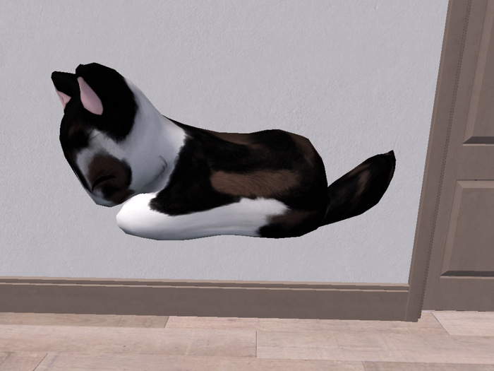 Stray Cats Kitten - Stray Kitty (M)