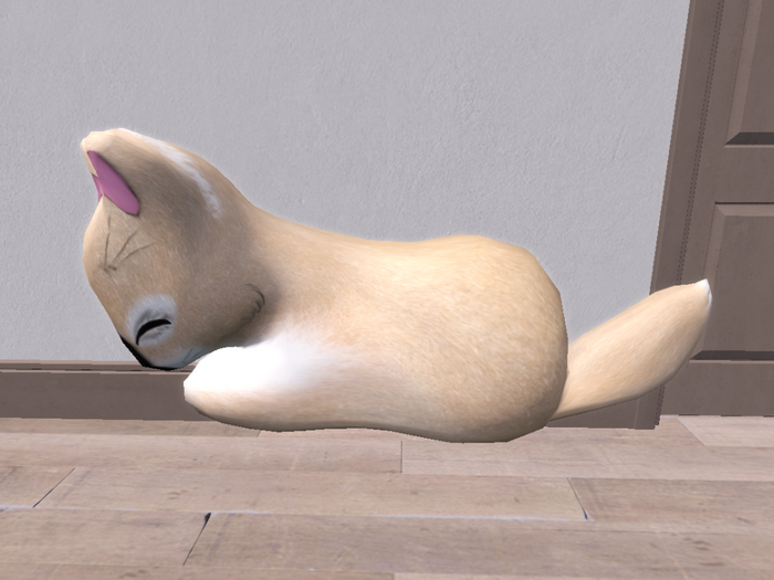 Stray Cats Kitten - Stray Kitty (F)