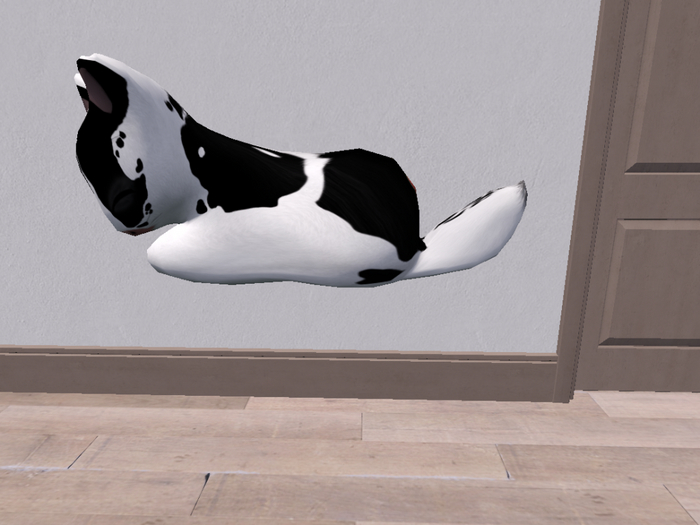 Stray Cats Kitten - Stray Kitty (F)