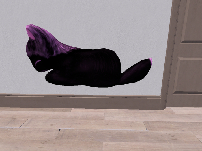 Stray Cats Kitten - Stray Kitty (F)