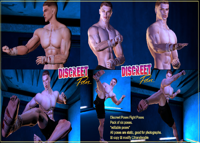 Discreet Poses Fight Poses