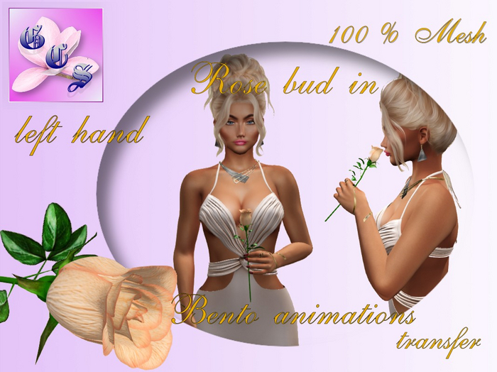 Rose bud in left hand_apricot_011_RB9