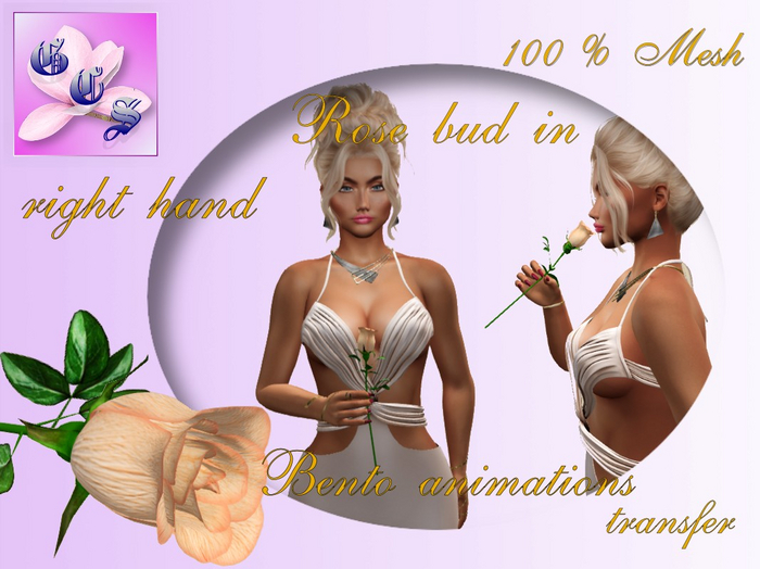Rose bud in right hand_apricot_011_RB9