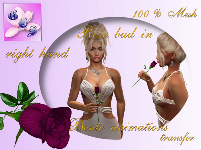 Rose bud in right hand_cyclamen_011_RB13
