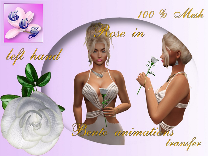 Rose in left hand_white_011_RB1