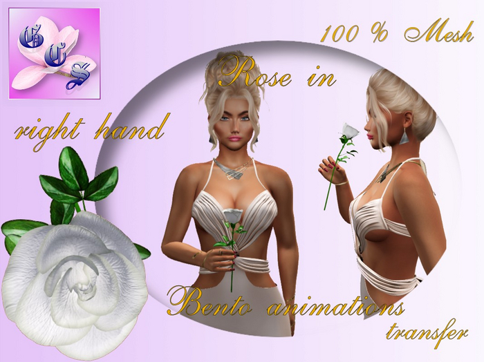 Rose in right hand_white_011_RB1