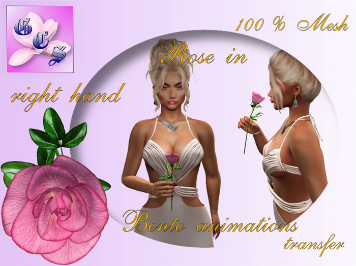 Rose in right hand_rose_011_RB2