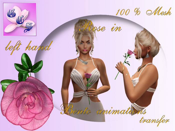 Rose in left hand_rose_011_RB2