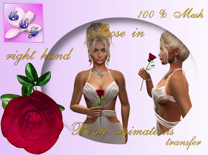 Rose in right hand_red_011_RB3