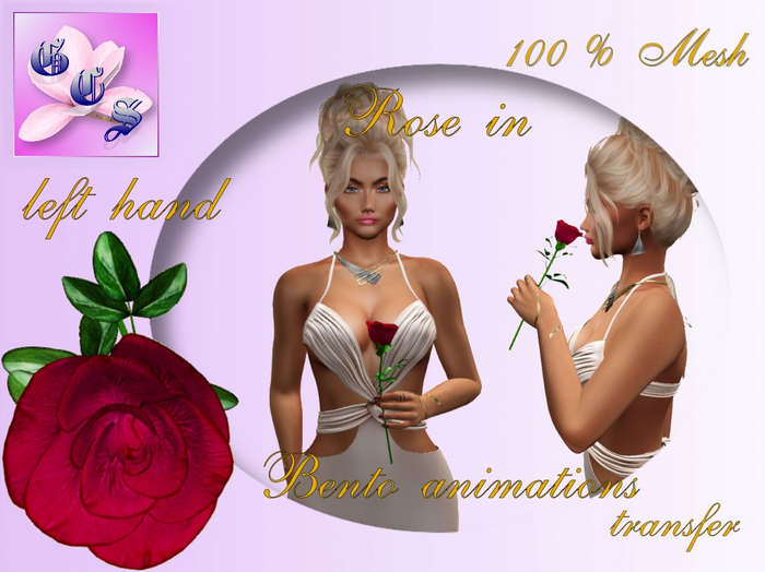 Rose in left hand_red_011_RB3