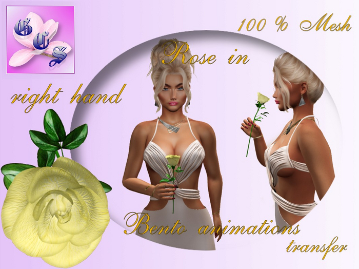 Rose in right hand_yellow_011_RB11
