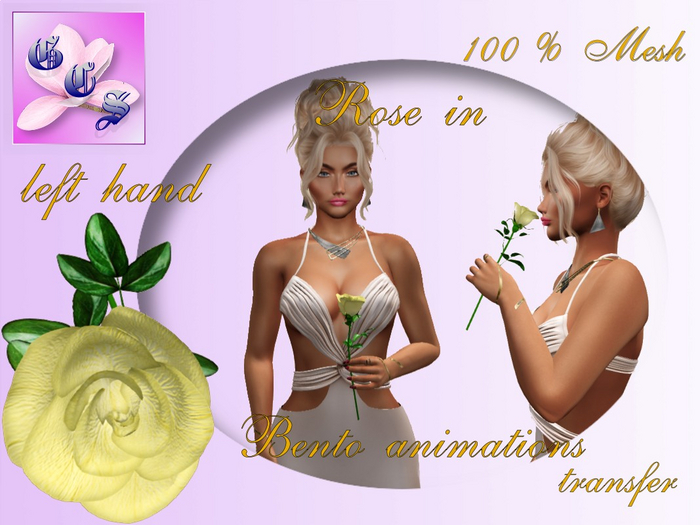 Rose in left hand_yellow_011_RB11