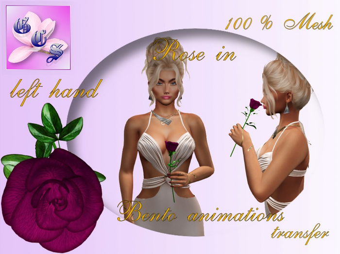 Rose in left hand_cyclamen_011_RB13