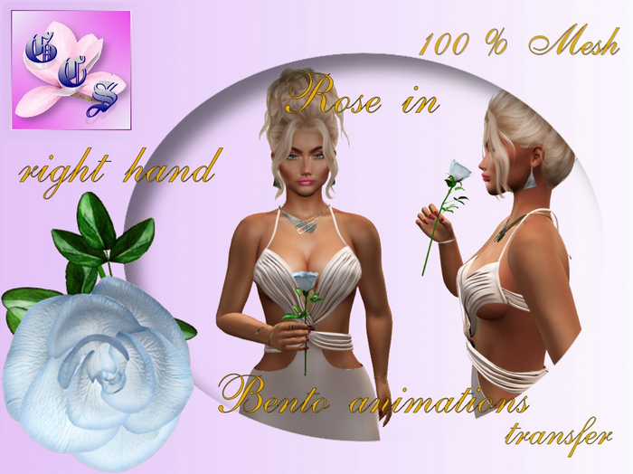  Rose in right hand_blue_011_RB7