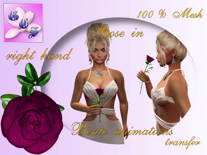 Rose in right hand_cyclamen_011_RB13
