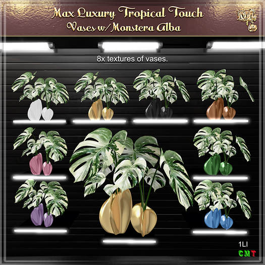 Max Luxury - Tropical Touch - Vases w/Monstera Alba Variegata