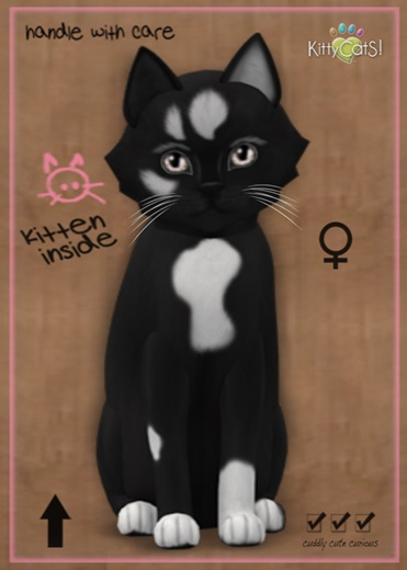 MEGAPUSS FLOOFY: KittyCatS Box - Genesis - Domino V - MegaPuss Floofy