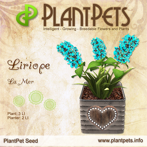 PlantPet Seed [Liriope *La Mer*]