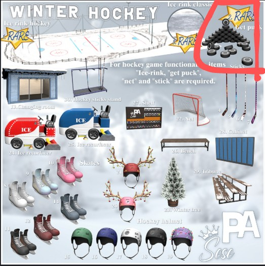 2. Sese & PA - Winter Hockey - Getafe Puck RARE