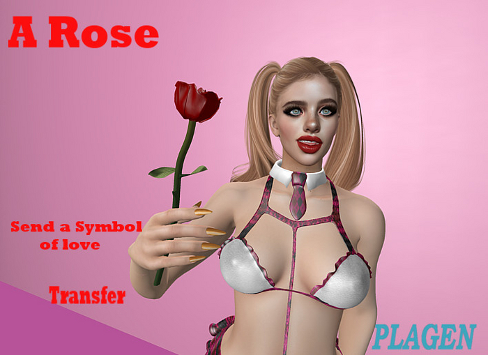 A Rose   - PLAGEN  (ADD)
