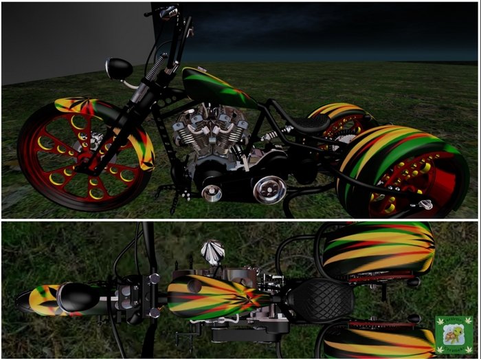 Trippy Rasta trike M&F
