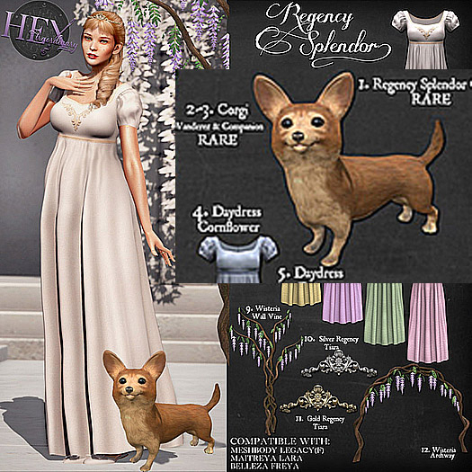 3. HEXtraordinary - Corgi - Companion - RARE
