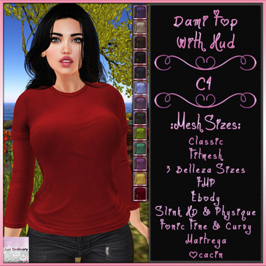 Dami Top With Hud C4