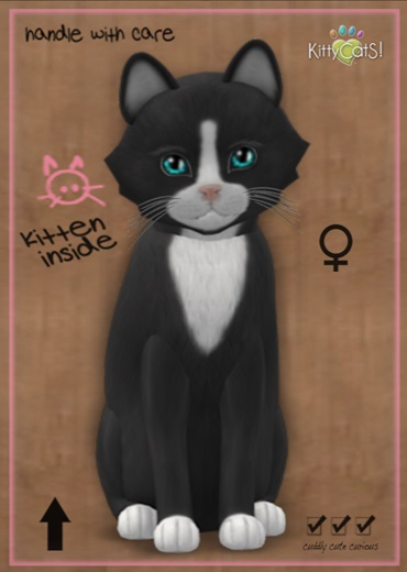 MEGAPUSS FLOOFY: KittyCatS Box - Chateau Cat - Slate & White No 1 - MegaPuss Floofy