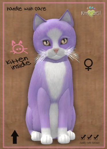 MEGAPUSS: KittyCatS Box - Chateau Cat - Dream Puff No. 1 - MegaPuss