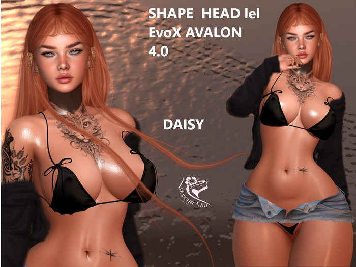 DAISY  SHAPE HEAD EvoX  AVALON 4.0 Lelutka (Maitreya,larax,legacy,,Reborn,Erika ,,Belleza Gen.X Curvy.Kupra