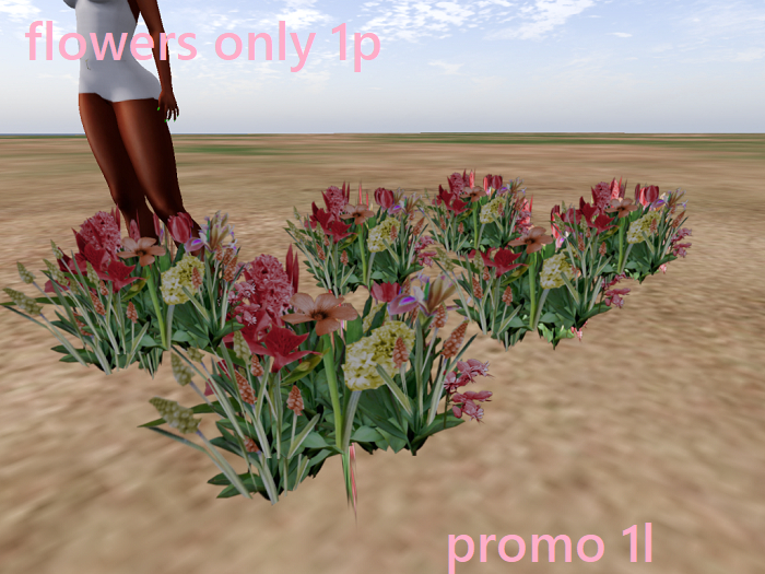 flowers mesh box 1p boxed