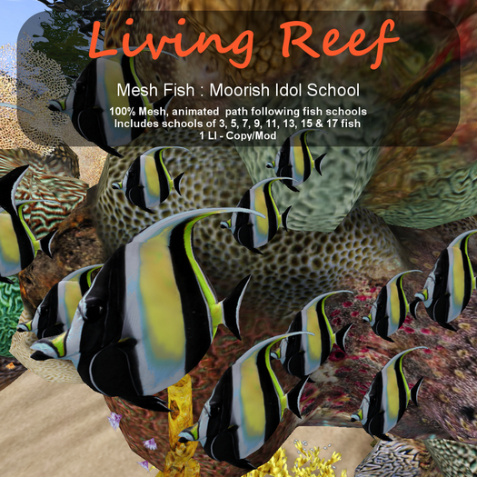 Inochi Reef - Mesh Moorish Idol School