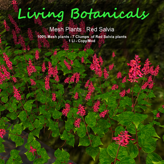 Inochi Botanicals - Mesh Plant "Red Salvia"