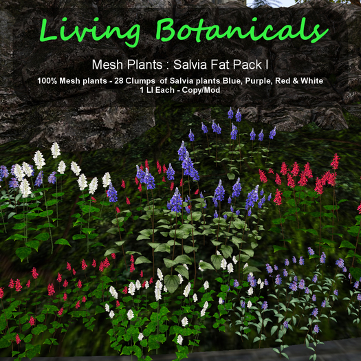 Inochi Botanicals - Mesh Plant "Salvia Fat Pack I"