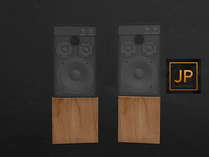 3. PLAAKA RecordShopSpeaker