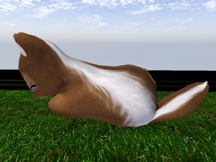 Stray Cats Kitten - Stray Kitty (F)