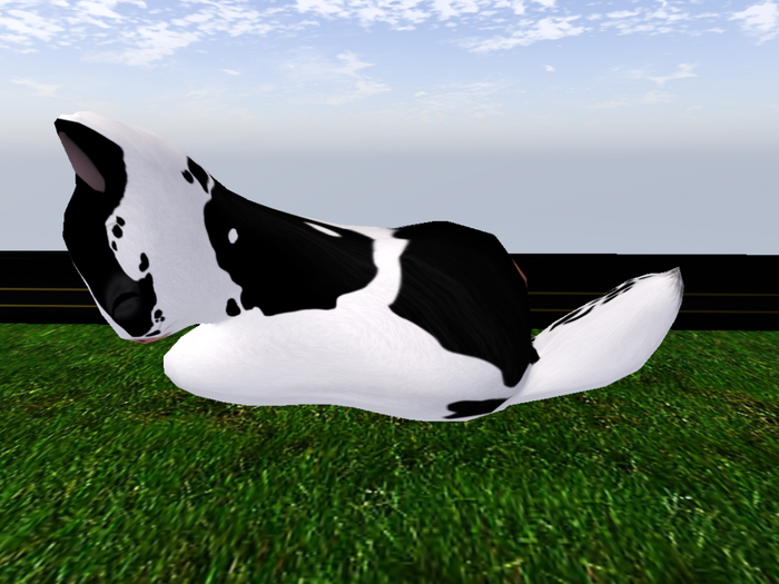 Stray Cats Kitten - Stray Kitty (F)