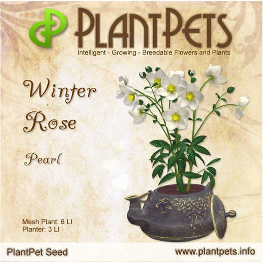 PlantPet Seed [Winter Rose *Pearl*]