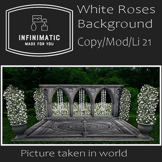 white roses background bagged