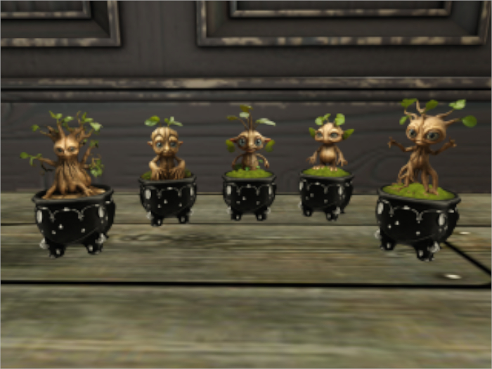 B&C - Mandrakes Fat Pack