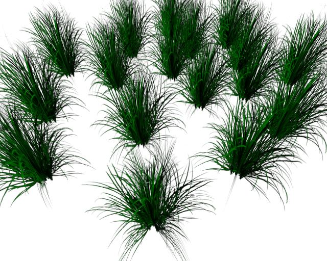 Long Grass Patches 4m x 3m
