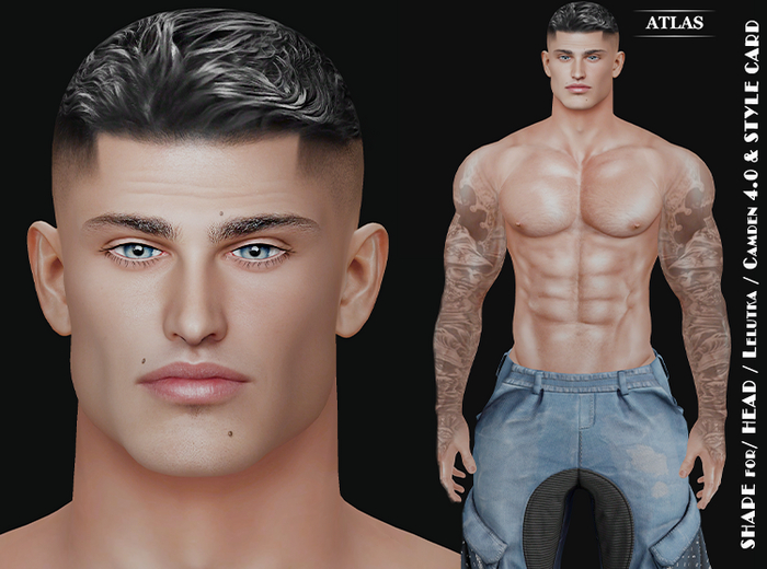 *ATLAS* SHAPE TARAS for LeL Camden Head 4.0 & STYLE CARD