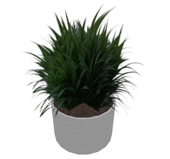 Grass Plant in Round Stucco Pot