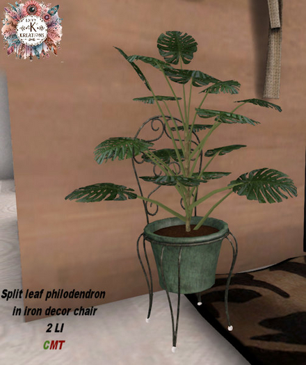 *LKK* Split Leaf Philodendron in planter 