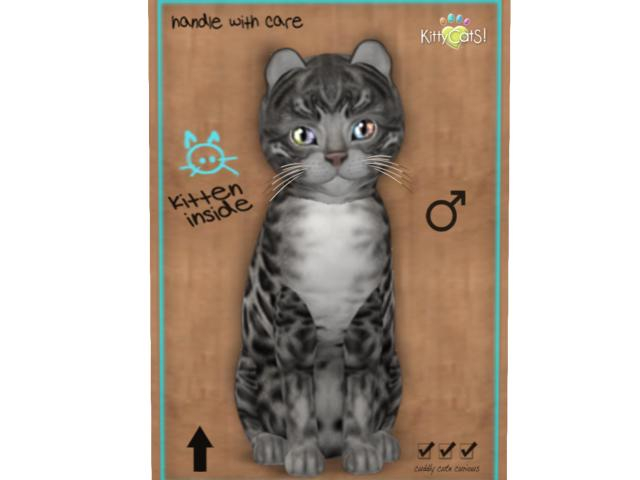 KittyCatS Box - Bengal - Charcoal