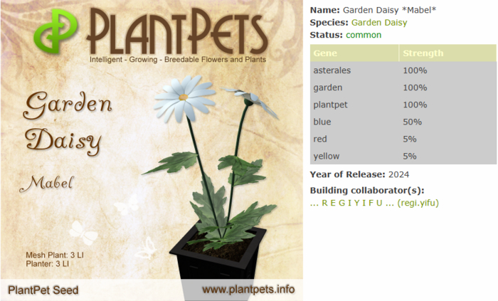 PlantPet Seed [Garden Daisy *Mabel*]