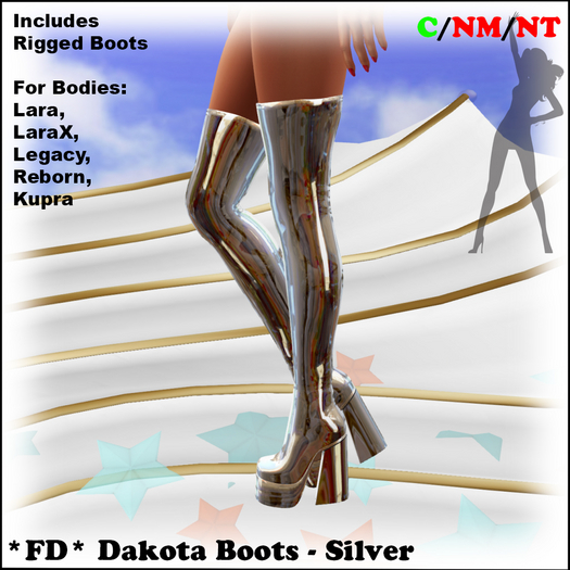 *FD* Dakota Boots [Boxed] Silver