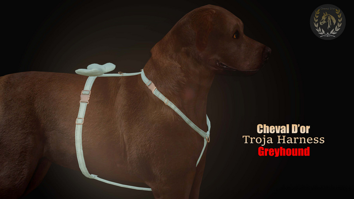 Cheval D'or / Teeglepet Greyhound / Troja Harness. [HUD]